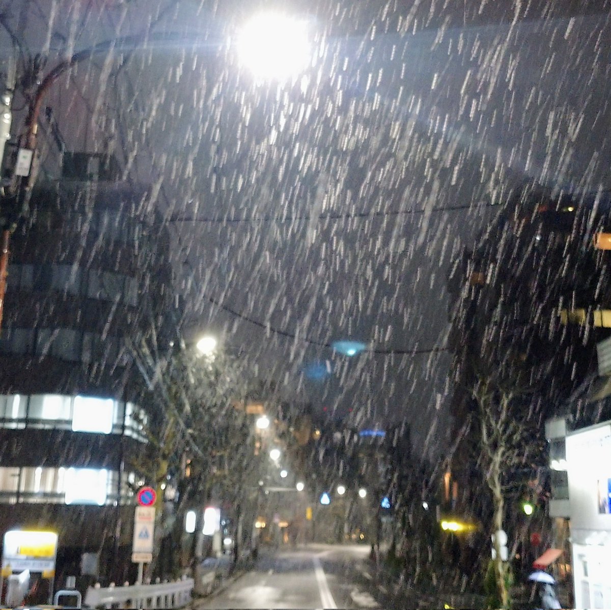 tanoshisho's tweet photo. あらら。 #イマソラ #sky #snow #東京 https://t.co/fuNTNhVohK