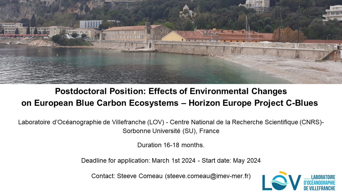 Nuria Teixido tweet media