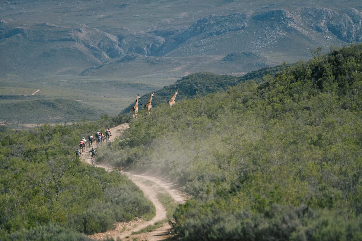 Do you ever stop to take in the views and unique scenery during the #RaceWithSoul? 
The 2024 #CapePioneer promises to be the best one yet! 

We are already counting down the months to welcome you to the renewed <a href="/momentumza/">Jareom ChaiChadatmon</a> Medical Scheme #CapePioneer presented by @biogen_sa!