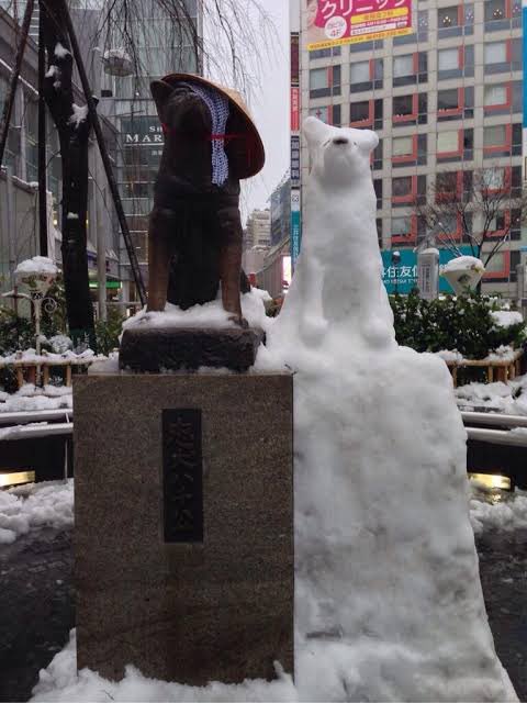 NA_NANA0501's tweet photo. 10年前の大雪の時に何者かによって一夜にして渋谷のハチ公が雪だるまで増殖した話、いまだにおもろい https://t.co/NmwKfxH3Bv