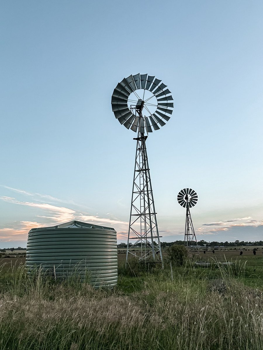 El tanque “australiano” en Australia
