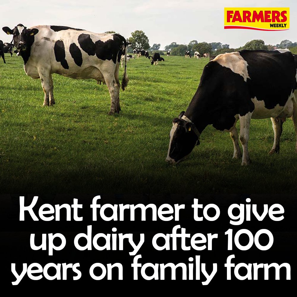 FarmersWeekly's tweet photo. 🐄 A dairy farmer from Kent has told Farmers Weekly of his decision to give up his dairy herd, after last year celebrating 100 years of heritage on the family farm.
Last year’s plummeting milk price has made it impossible for him to continue.
READ MORE: https://t.co/GYASwyvmPs https://t.co/DbTXnEN6je