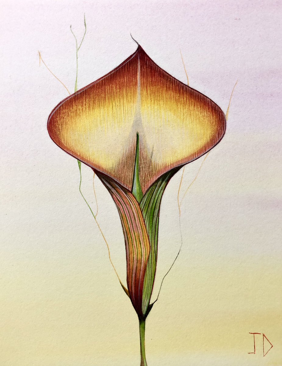 Original flower 🌹 lily orange and green, watercolour on arches paper 19 x 14 cm, jdaviesarts 2023. #contemporarypainting
#contemporarypaintings
#ContemporaryBritishPainting #painting #surrealism #paintbritain #arthistory #surrealist #sheffieldartist 
#ancienthistory