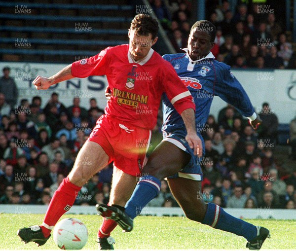 Bluebirds Past tweet media