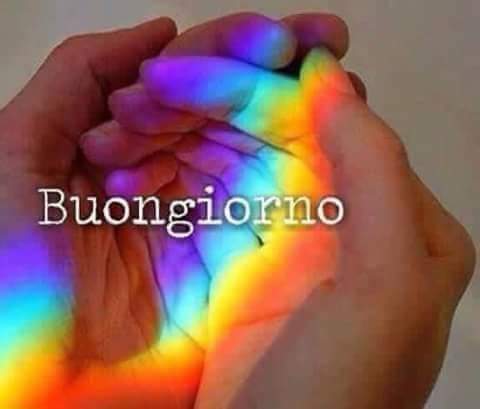 monydur's tweet photo. @RiccardoCeron @olivati @BrunoMaggi @Davidbuoncry @maurogab1 @pierpi13 @giosparver @AndreaCilento @Andrea_Radic @PIERPAOLOMONNI @dirittofrontier @RitaSofiale @SIPARISipari Non mollare caro Riccardo, presto troverai la serenità e benessere. https://t.co/oMJ86iShJF