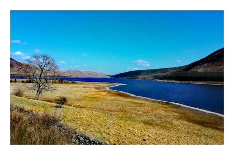 St.Mary's Loch
#scotlandscenery #scotland_greatshots #lochsofscotland #APSmartphonepicoftheWeek #fsprintmonday