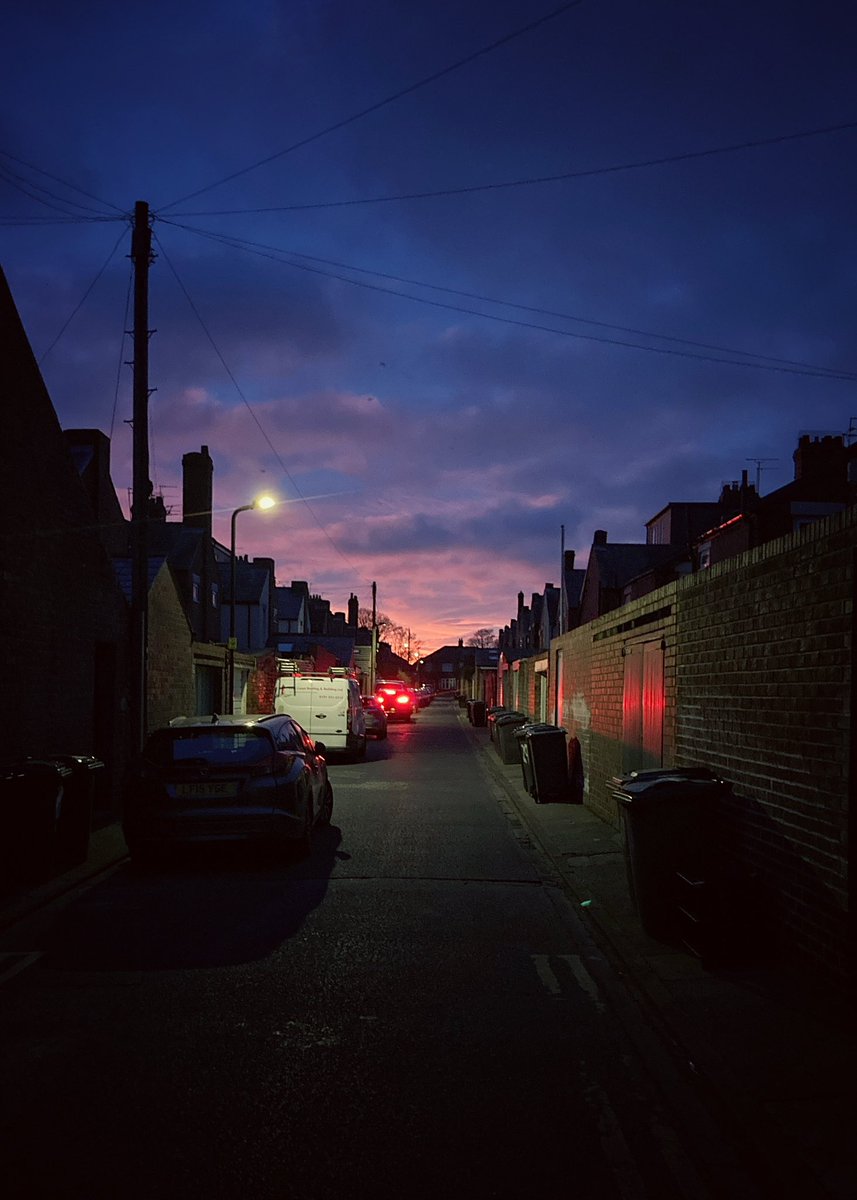 Back lane sunrise, Monkseaton. February, 2024.