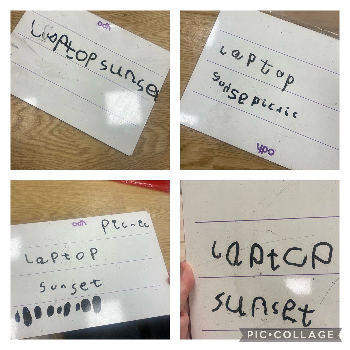 Radcliffe Hall tweet media