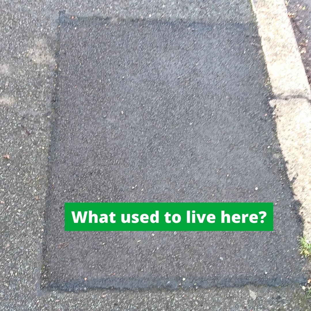 TreesforStreets's tweet photo. Guess what used to 'live' here?🤔 That's right, a tree 🌳
There are thousands upon thousands of empty locations across our streets where trees used to 'live'. 
Let's make it a priority to re-green our streets. Let's create a new #nationalforest 🌳🌳🌳🌳
👉https://t.co/n8cMfZS5ef https://t.co/fHHYYzqjft