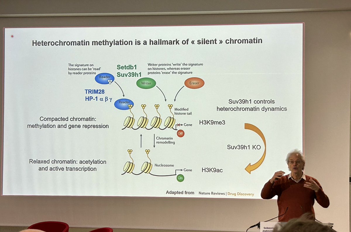 jjkiladjian's tweet photo. Belle présentation S. Amigorena à l’Innovation forum du Paris Saclay Cancer Cluster #PSCC comment améliorer et prolonger la réponse aux CAR-T pour les tumeurs solides #Meary @cic1427 @HopSaintLouis https://t.co/rzZVw1dR3I