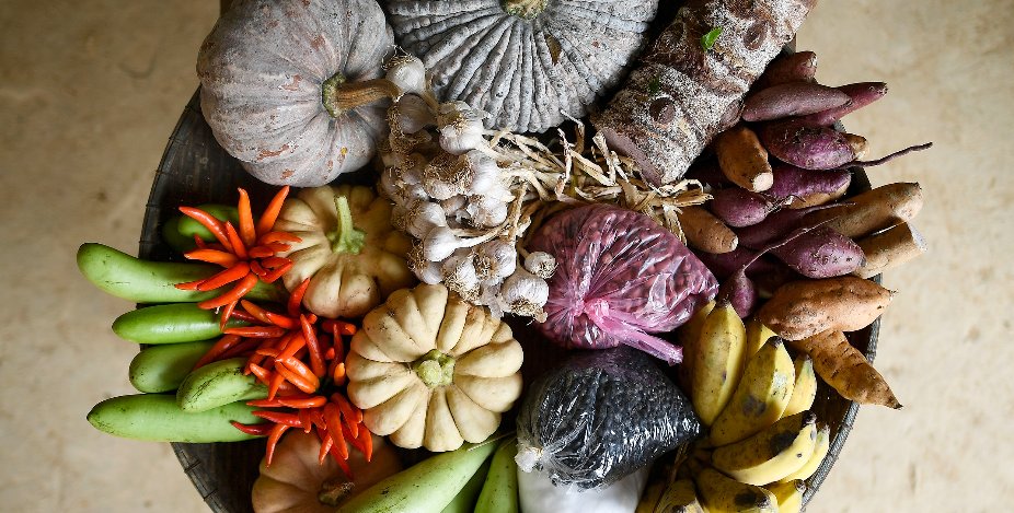 📢It’s out: A new domain in FAOSTAT🖥️on Food &amp; Diet🥑🐙🥦🍴, capturing stats on availability, consumption ➕ dietary intake of foods, energy &amp; 1⃣7⃣nutrients as part of efforts to close data gaps &amp; better inform #nutrition-sensitive #FoodSystems policies
👉bit.ly/3I6wnJ3