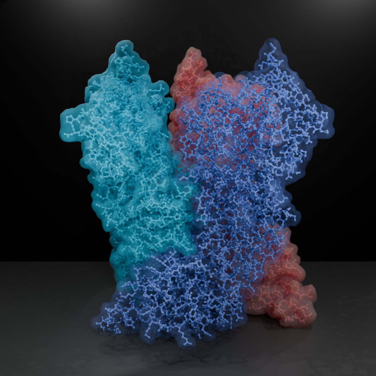 ISTAustria (@istaustria) on Twitter photo Just published in <a href="/NatureSMB/">NatureStructMolBiol</a>: The @SchurLab uncovers the architecture of the #poxviruscore using a combination of #cryoEMmethods & molecular modeling.
The key component: Core protein A10.
Read more: bit.ly/4802GUn
Co-first authors <a href="/JuliaDatler/">Julia Datler</a>& Jesse Hansen <a href="/bluufive/">Jesse Hansen</a> Just published in <a href="/NatureSMB/">NatureStructMolBiol</a>: The @SchurLab uncovers the architecture of the #poxviruscore using a combination of #cryoEMmethods & molecular modeling.
The key component: Core protein A10.
Read more: bit.ly/4802GUn
Co-first authors <a href="/JuliaDatler/">Julia Datler</a>& Jesse Hansen <a href="/bluufive/">Jesse Hansen</a>