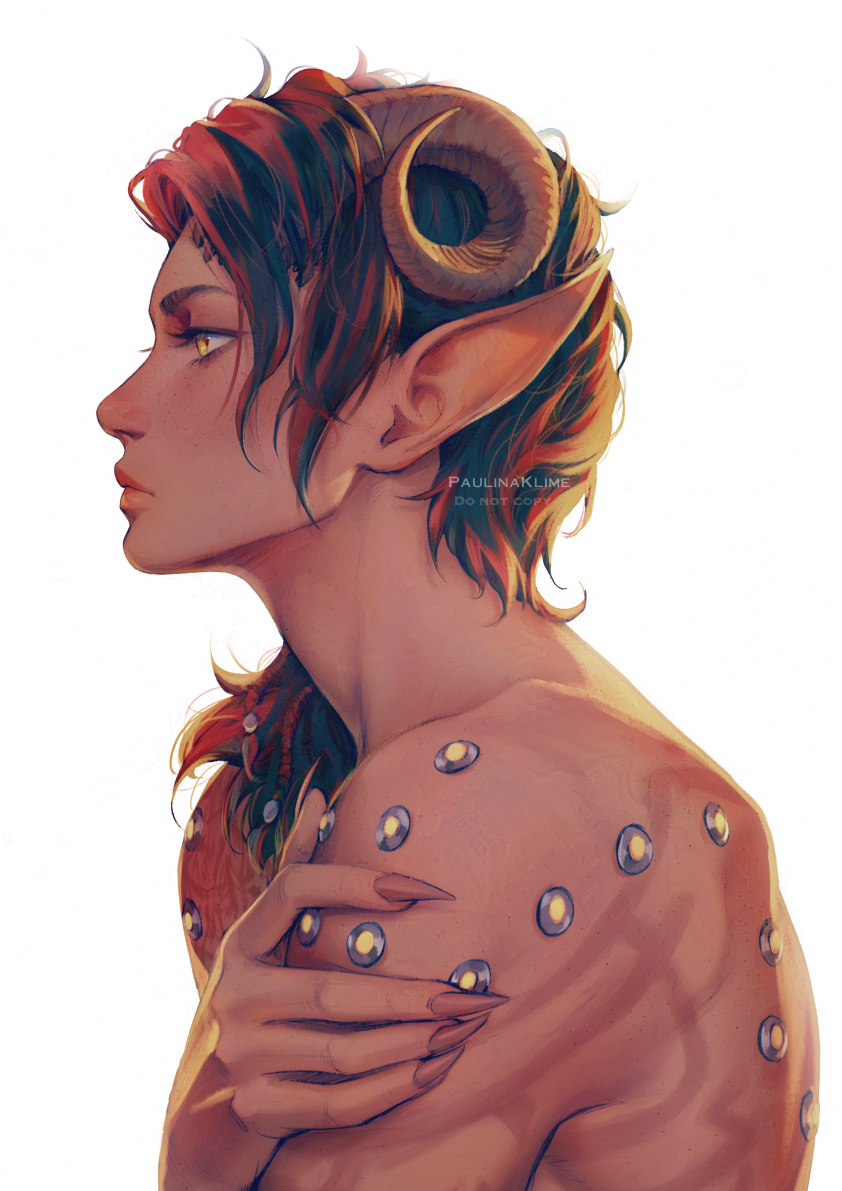 Paulina Klime tweet media