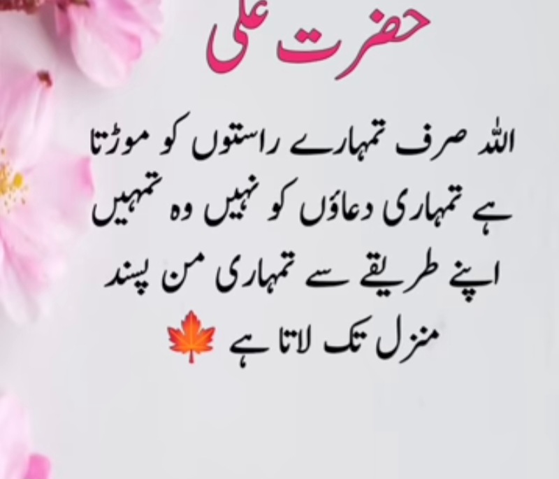 Muhammad ahmed (@muhammadah19642) on Twitter photo 