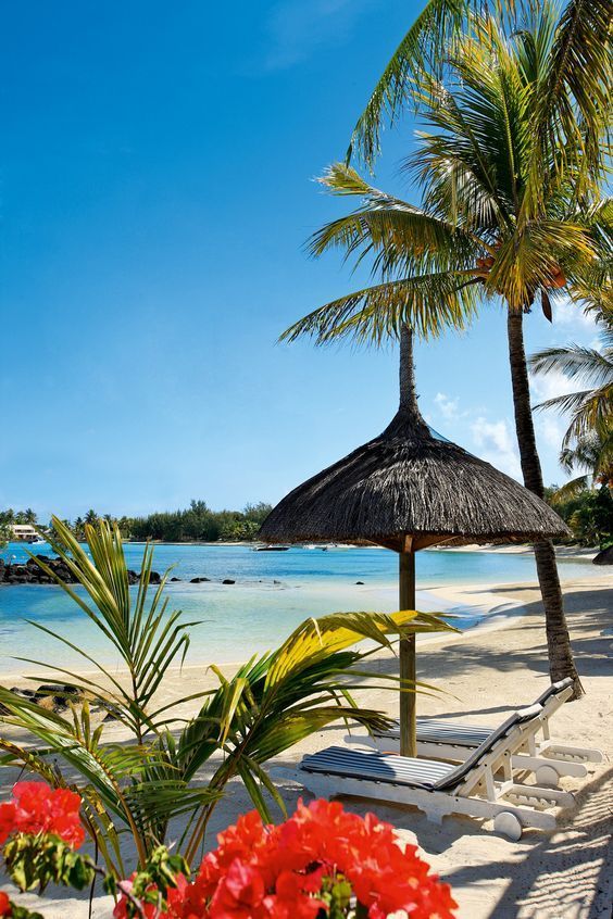 Mauritius Island tweet media