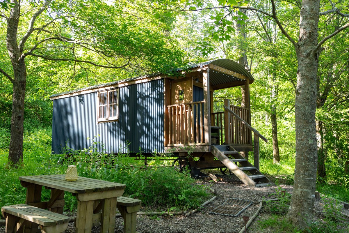 Dicky Deans Ltd tweet media