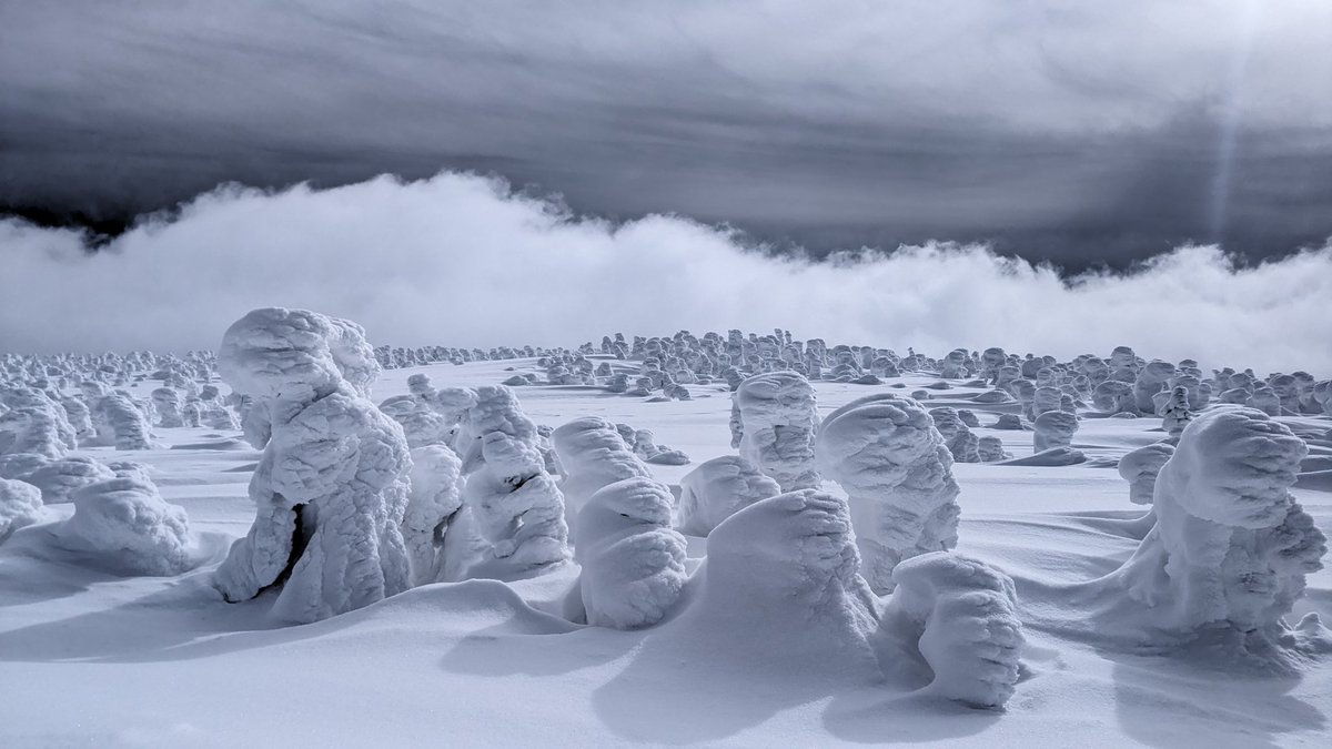 GonorthJ's tweet image. Perfect day all alone with the snow monsters of Hachimantai!