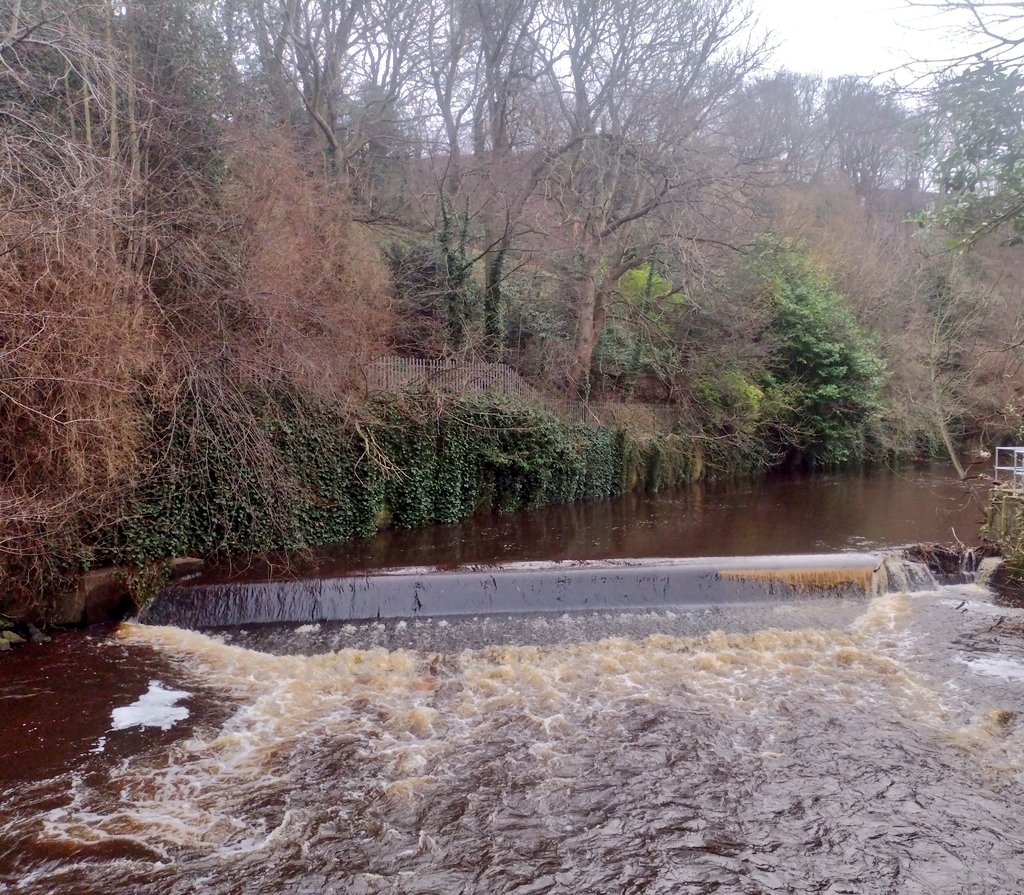 WOLCT's tweet image. A mixed session ahead down at Bells today.

Walkway to be swept of debris, more brash fence building, willow planting and removing fallen trees ahead for our volunteers.

Work on Magdala stairs is looking good

@Edinburgh_CC
@PathsforAll