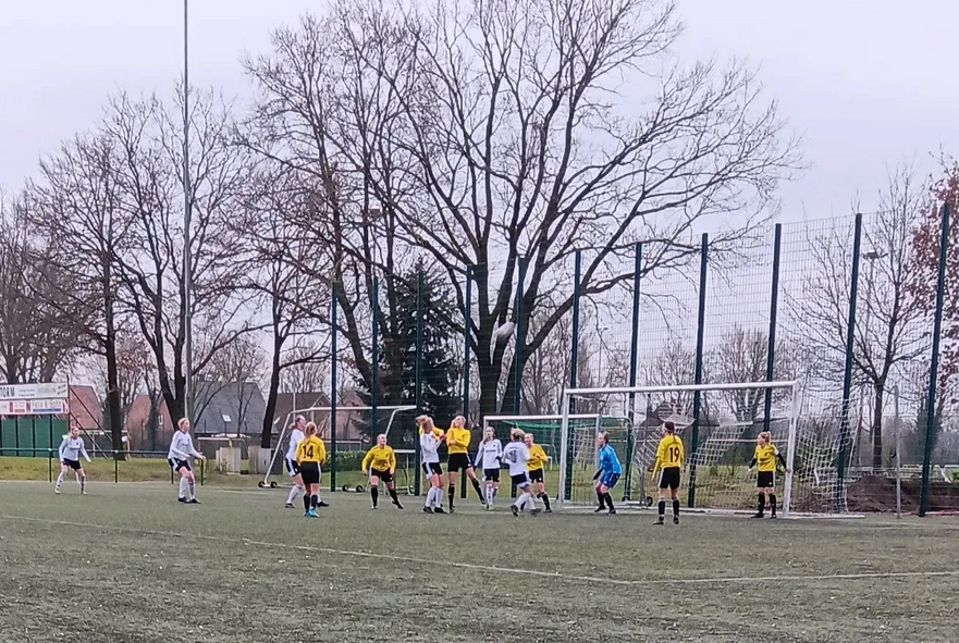 SV Conc. Emsbüren tweet media