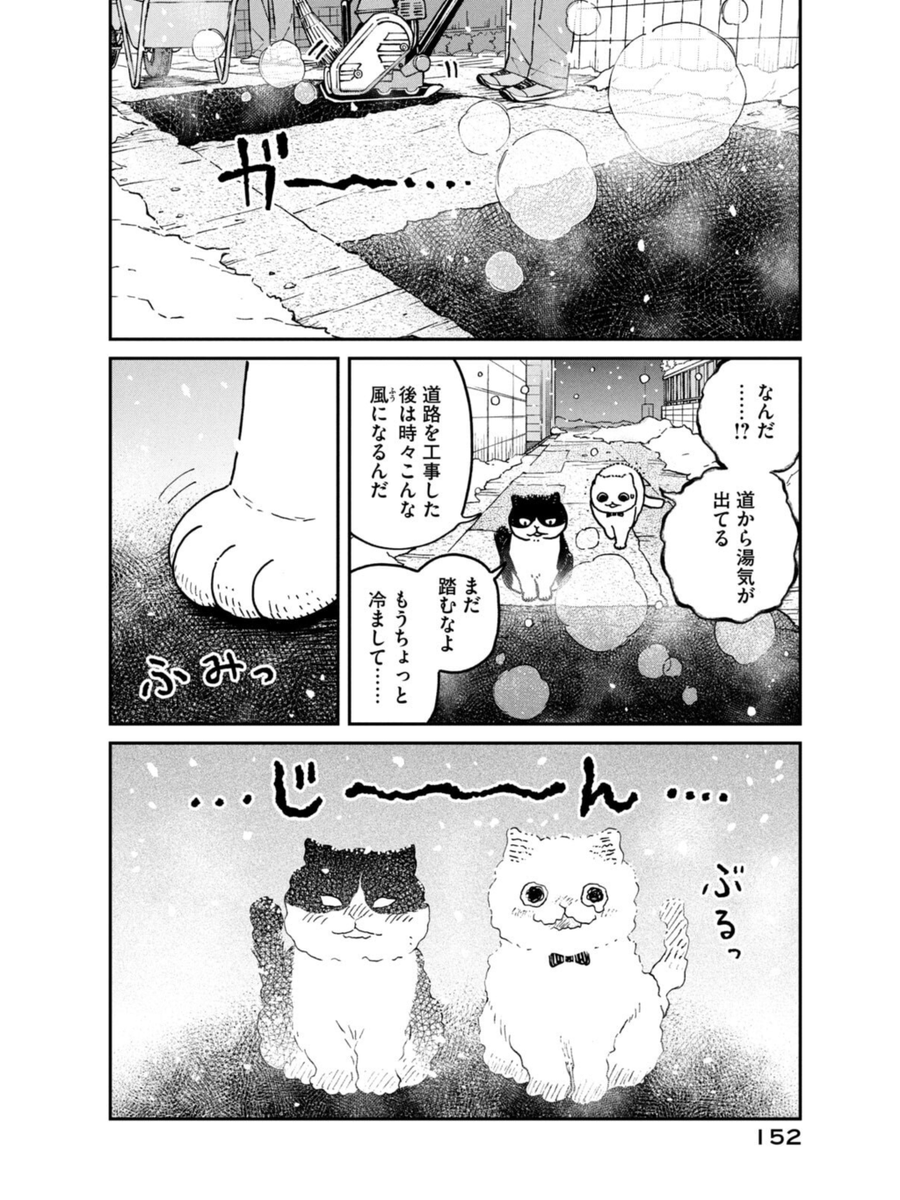 冬の寒い日、野良猫たちがどうやって生き延びるか (1/4)  #ツレ猫マルルとハチ #マルルとハチ #漫画が読めるハッシュタグ