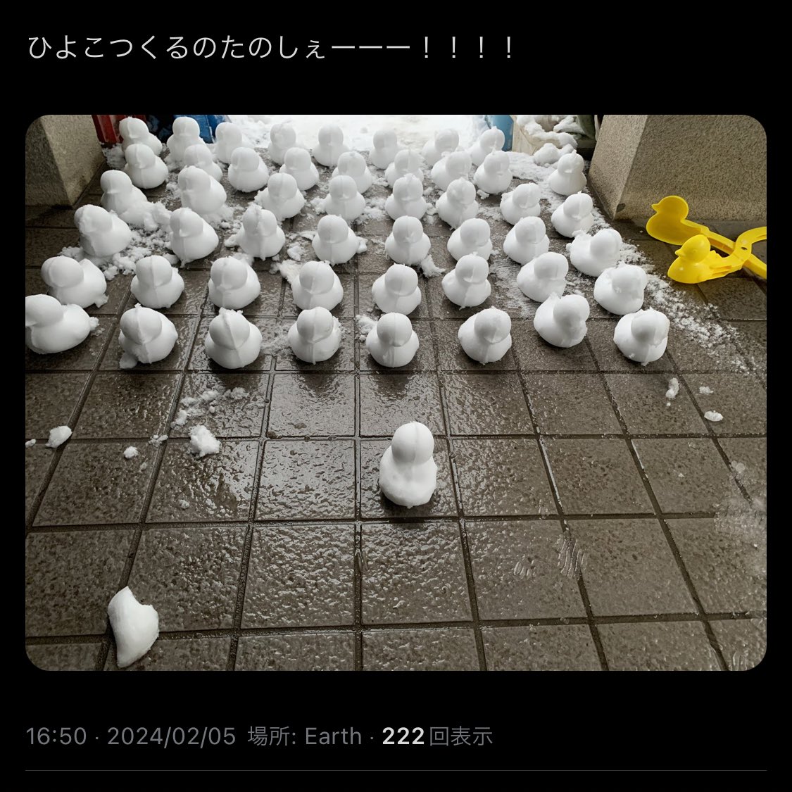 mesotabi's tweet photo. 東国大雪！その時！長野の友人は！！！

みんなDAISOにはしれ！！！じゃないンだよ https://t.co/qiQGyLvJeS
