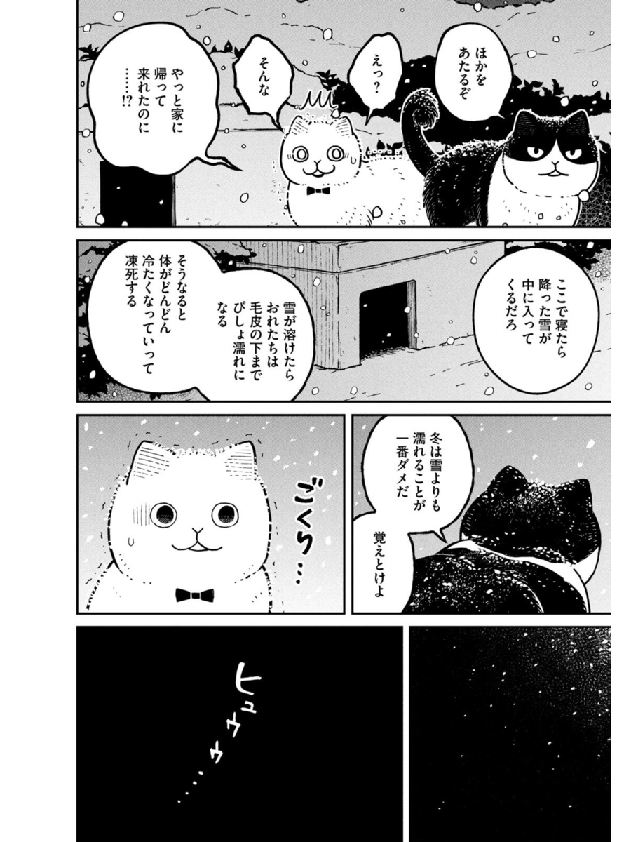 冬の寒い日、野良猫たちがどうやって生き延びるか (3/4)  #ツレ猫マルルとハチ #マルルとハチ #漫画が読めるハッシュタグ