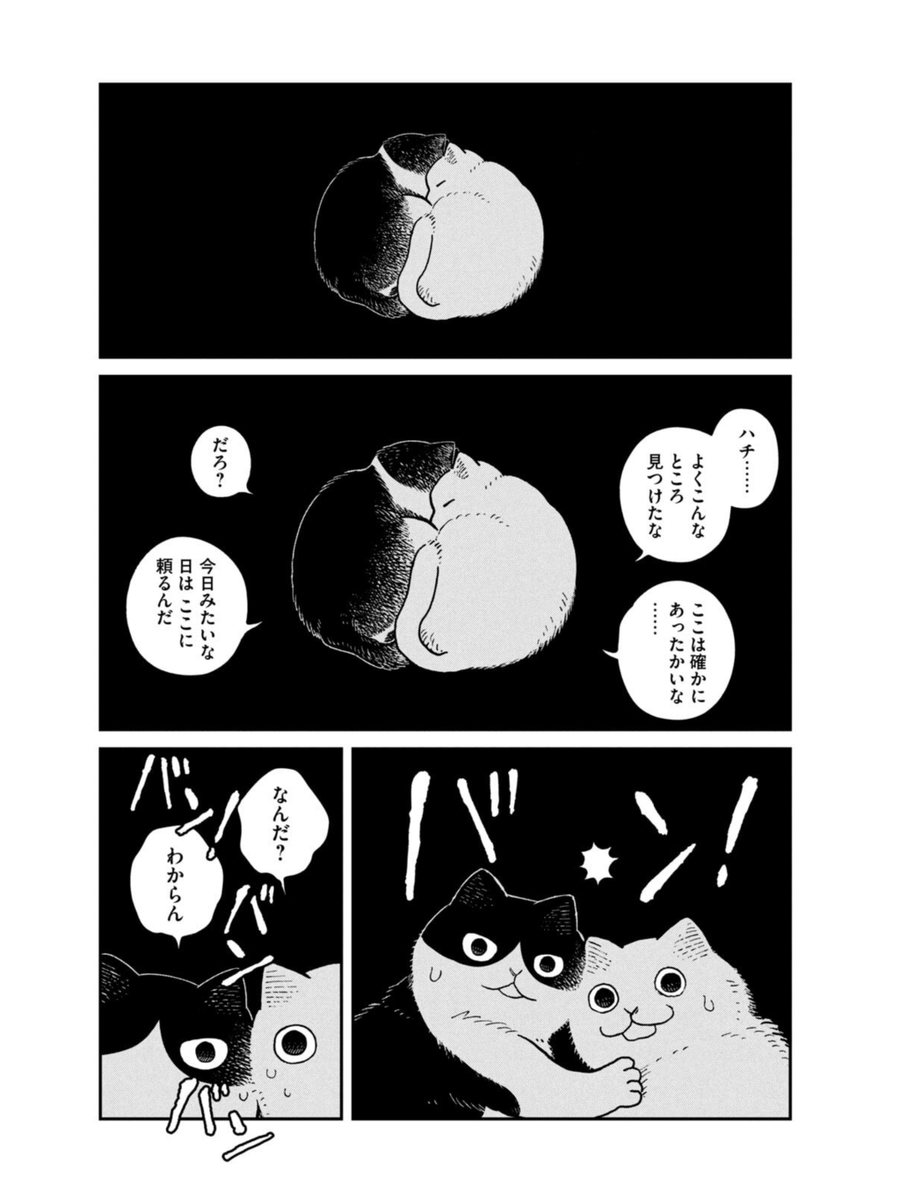 冬の寒い日、野良猫たちがどうやって生き延びるか (3/4) #ツレ猫マルルとハチ #マルルとハチ #漫画が読めるハッシュタグ
