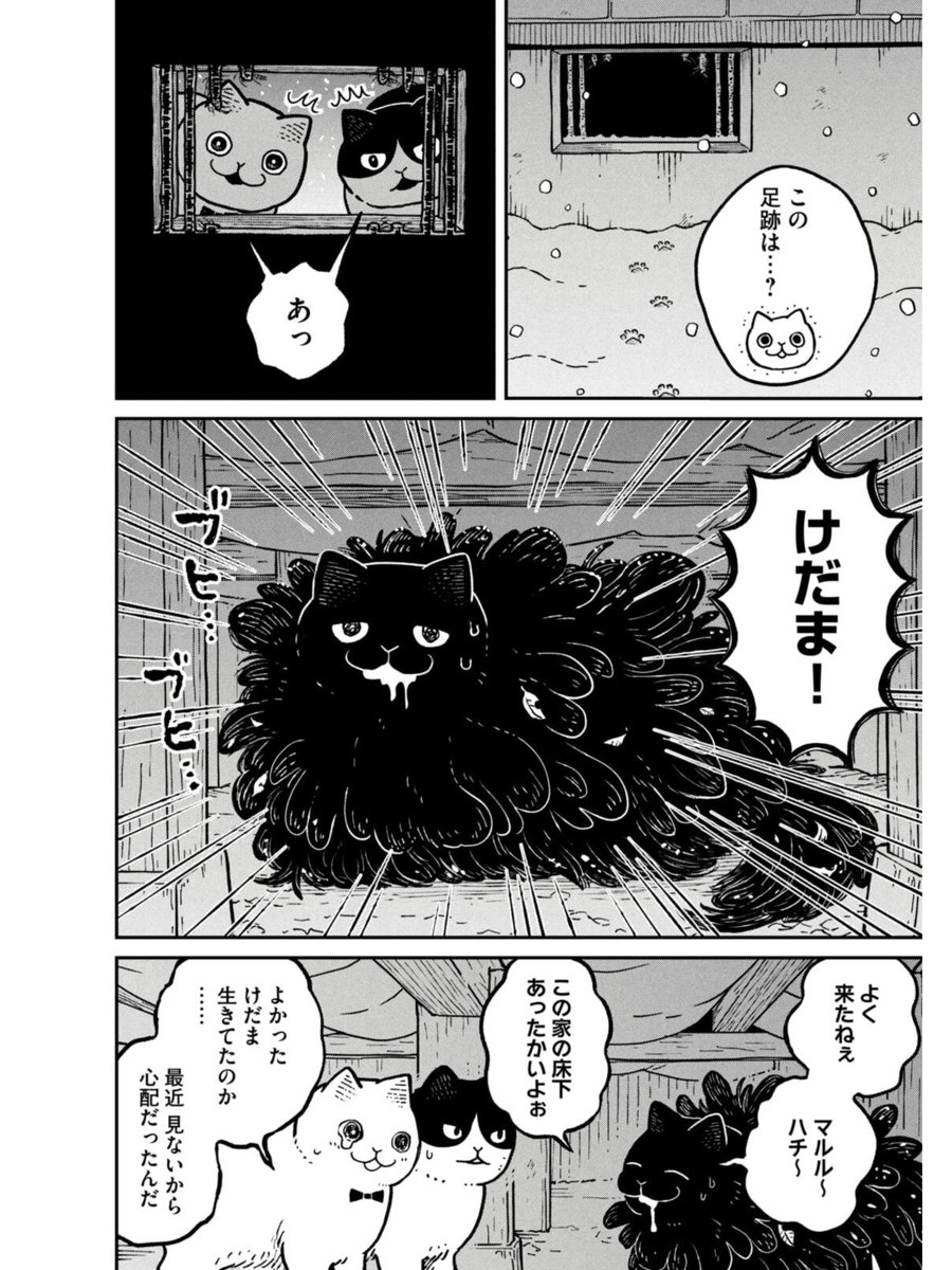 冬の寒い日、野良猫たちがどうやって生き延びるか (4/4)  #ツレ猫マルルとハチ #マルルとハチ #漫画が読めるハッシュタグ