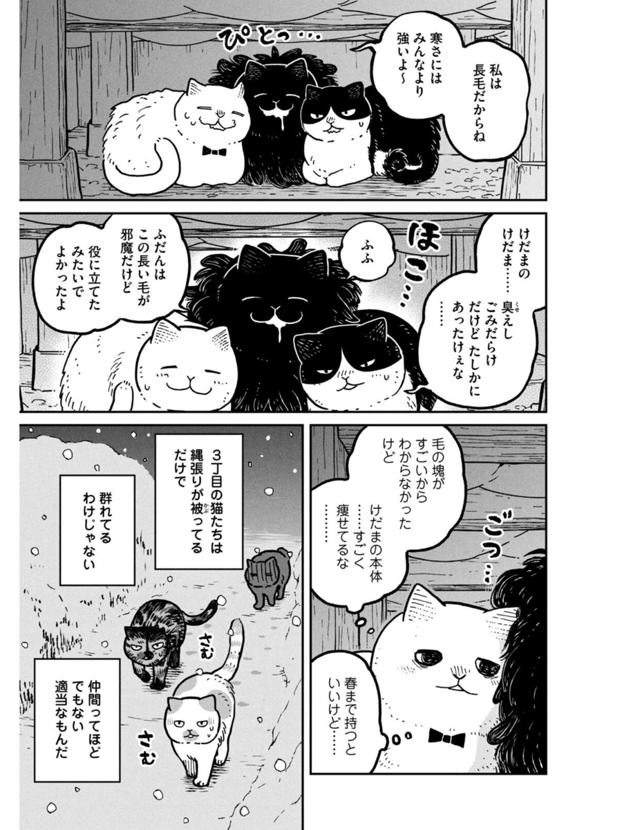 冬の寒い日、野良猫たちがどうやって生き延びるか (4/4) #ツレ猫マルルとハチ #マルルとハチ #漫画が読めるハッシュタグ