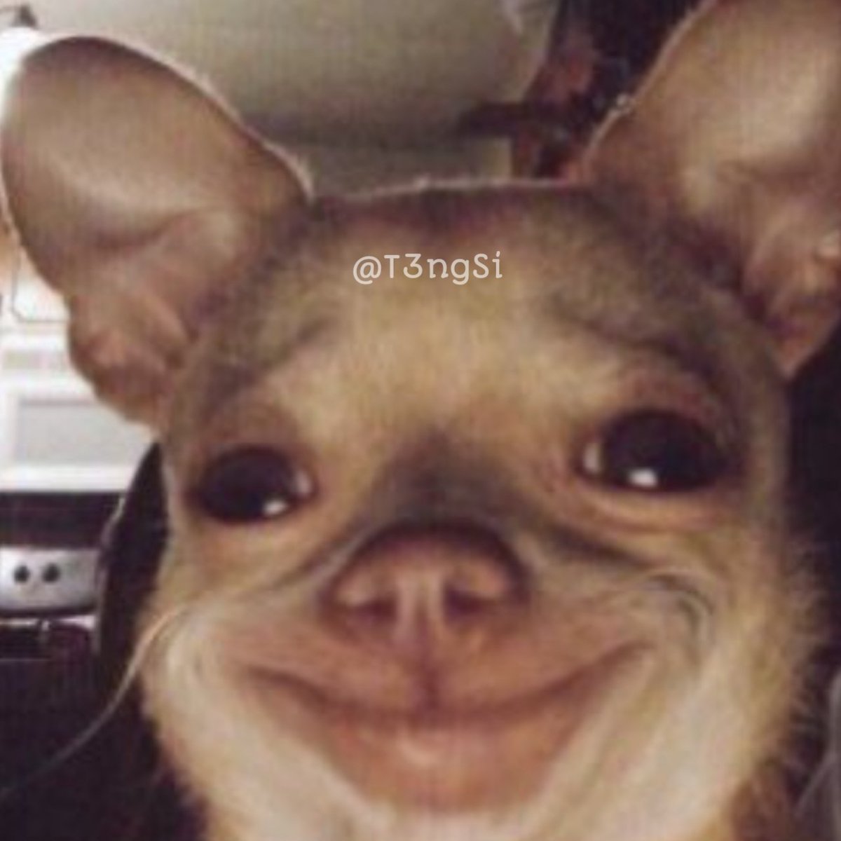 When I noticed that one person who appreciates my small effort.

#T3ngSi
#Memes
#Trends