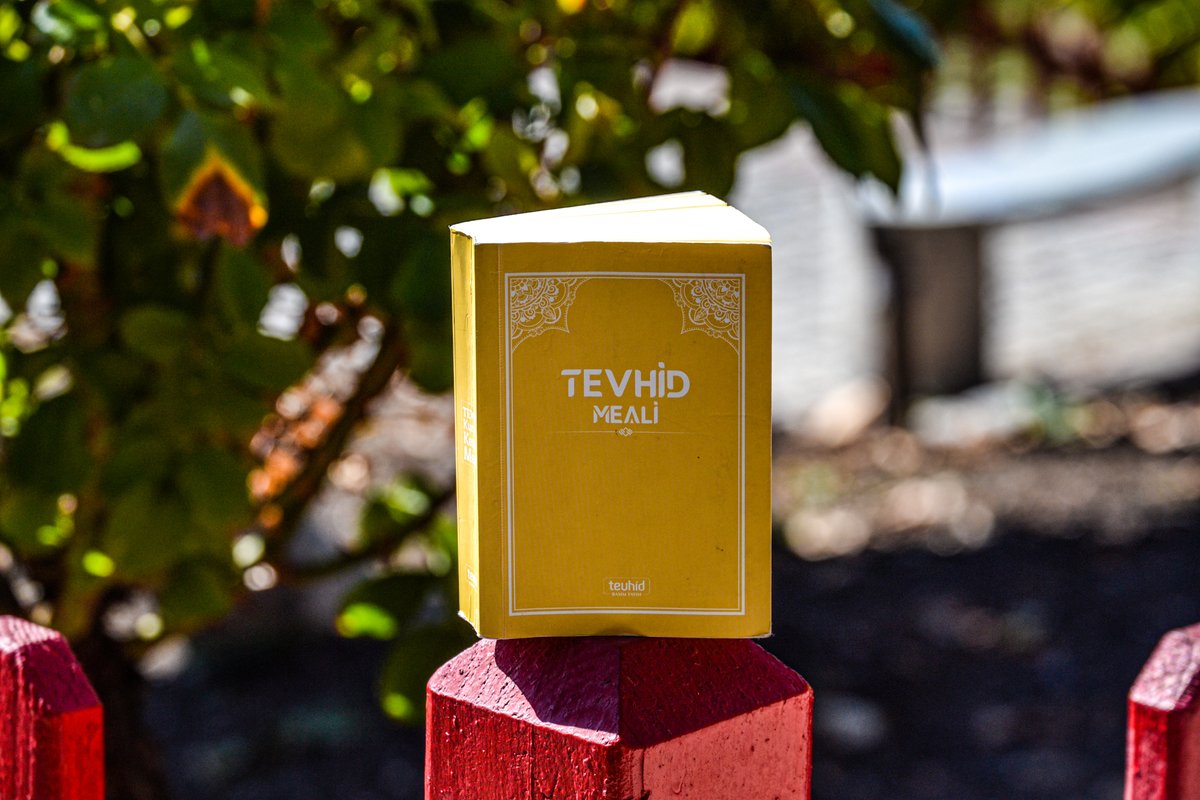 Tevhid Meali tweet media