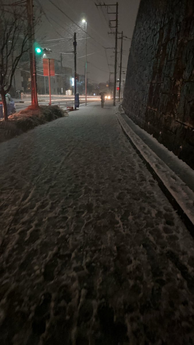 Jyunk_vo's tweet photo. 東京も雪や、、、、

傘忘れてびちゃびちゃや、 https://t.co/7736HJhoqV