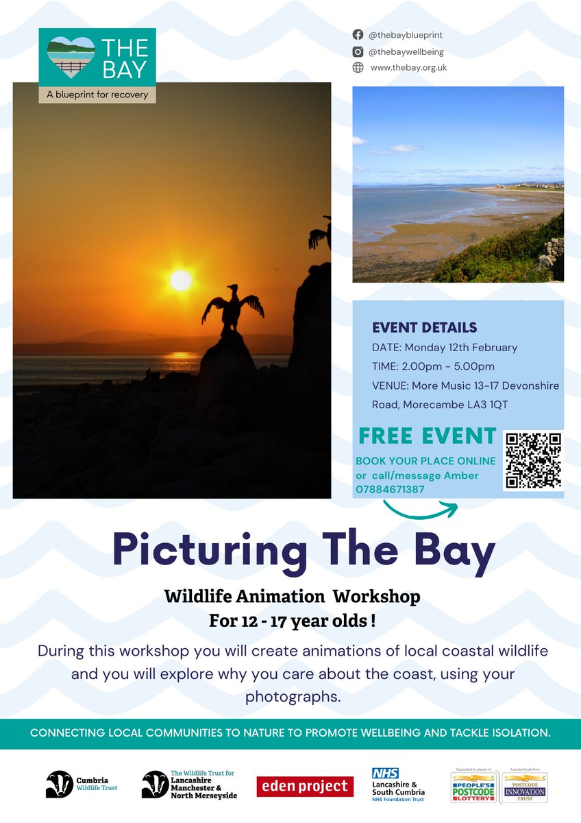 'Picturing the Bay', Free event for 14-17 years. Explore local coastal wildlife and why you care about the coast @thebaywellbeing @moremusic @EdenProject @cumbriawildlife @Lancswildlife