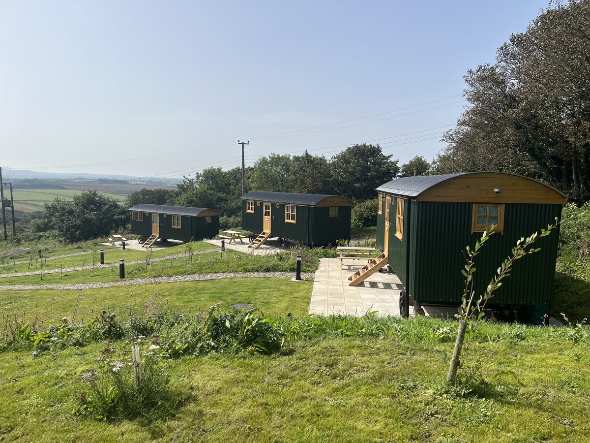 Dicky Deans Ltd tweet media