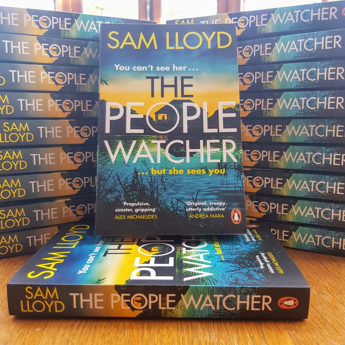 Guess what? #ThePeopleWatcher, my new thriller, is only 99p on #kindle for the whole of February. Get your copy instantly here: tinyurl.com/f64jp3br 'Propulsive, sinister, gripping.' (Alex Michaelides) #bookdeals #booktwitter #offer