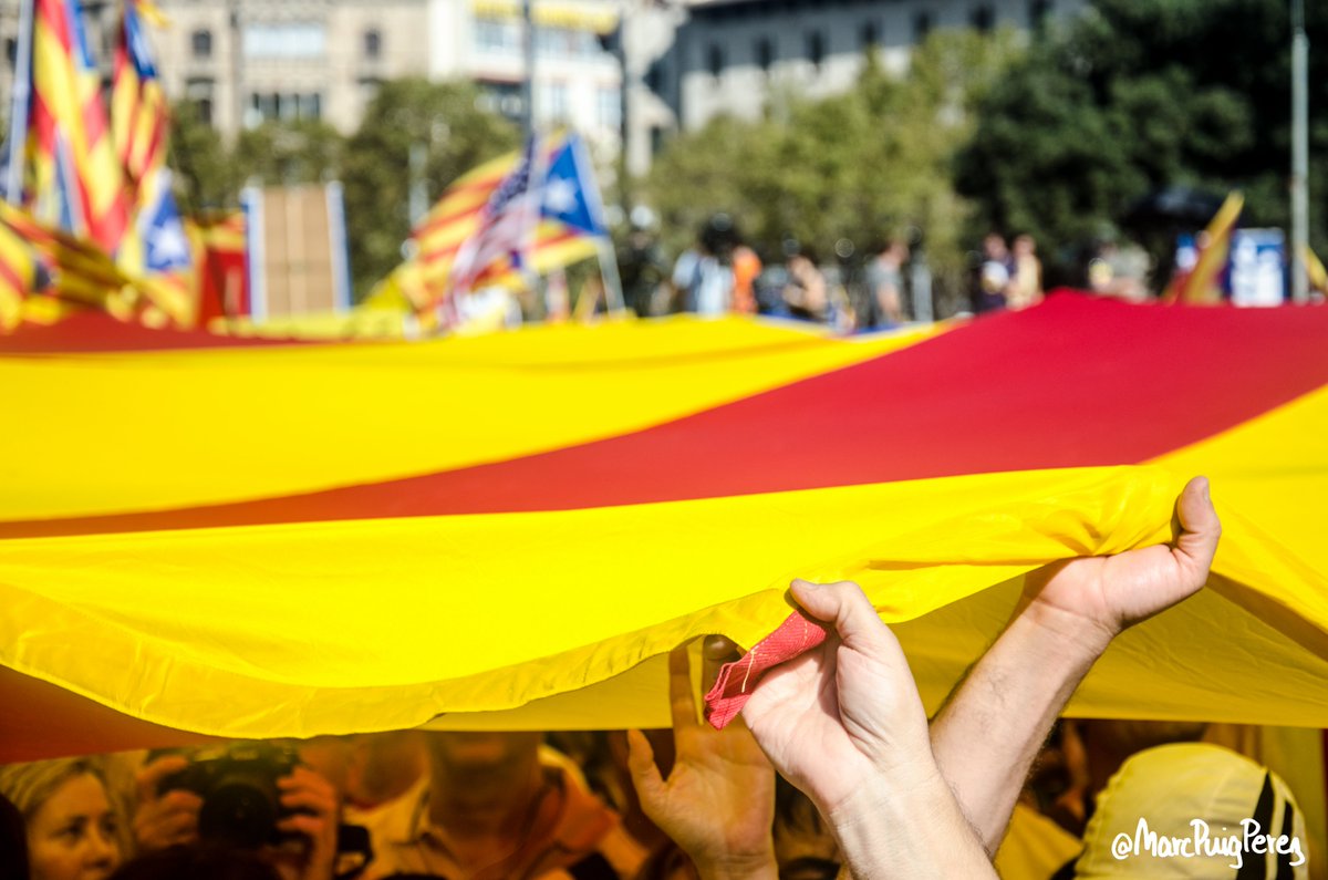 ⬛️⬜️ Si la Llista Cívica per la Independència s'acaba aprovant, qualsevol de vosaltres podrà proposar candidats per formar part de l'agrupació d'electors. Ara bé, quins criteris i obligacions hauran de complir?

🧵 Us ho expliquem en aquest fil: