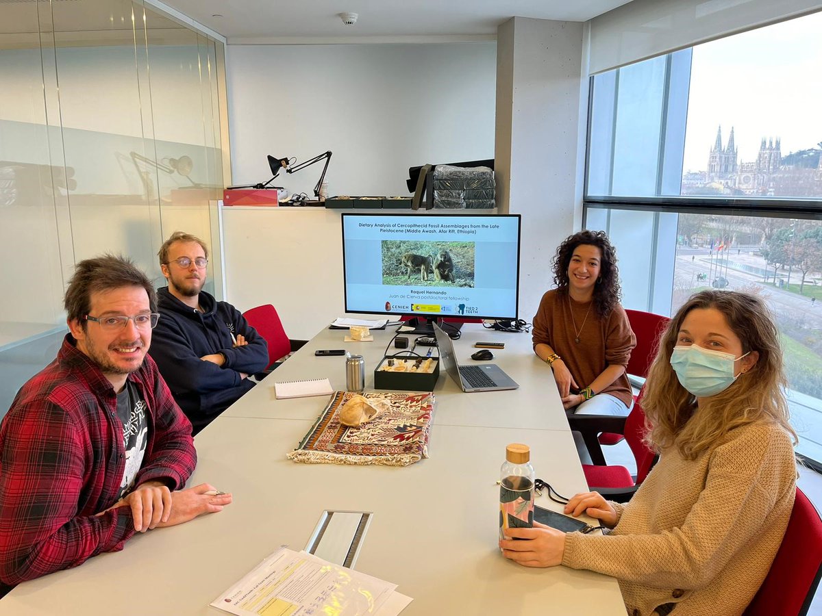 Tied2Teeth tweet media