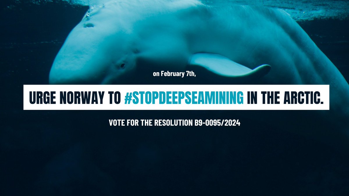 This week the <a href="/Europarl_EN/">European Parliament</a> will respond to 🇳🇴 decision to open the Arctic to #DeepSeaMining. This could have severe impacts on 🇪🇺 #fisheries, #biodiversity &amp; global #climate

<a href="/EPP/">EPP</a> <a href="/ecrgroup/">ECR Group</a> <a href="/RenewEurope/">Renew Europe</a> <a href="/TheProgressives/">S&D Group</a> <a href="/GreensEFA/">Greens/EFA in the EU Parliament 🌍</a> <a href="/Left_EU/">The Left in the European Parliament</a>: we count on you to #DefendTheDeep