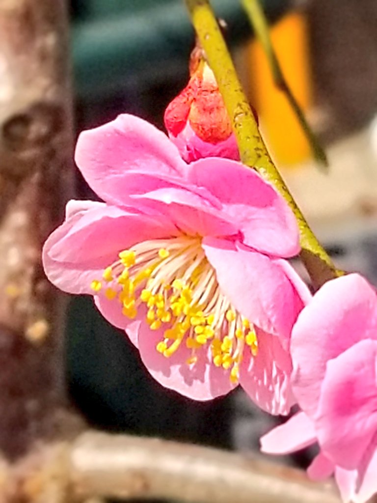 ❈

          ことしも

                      あなたと  ともに ࿐⋆*

 ෆ.*･ﾟ                                         ⋆｡:ﾟ･*☽:ﾟ