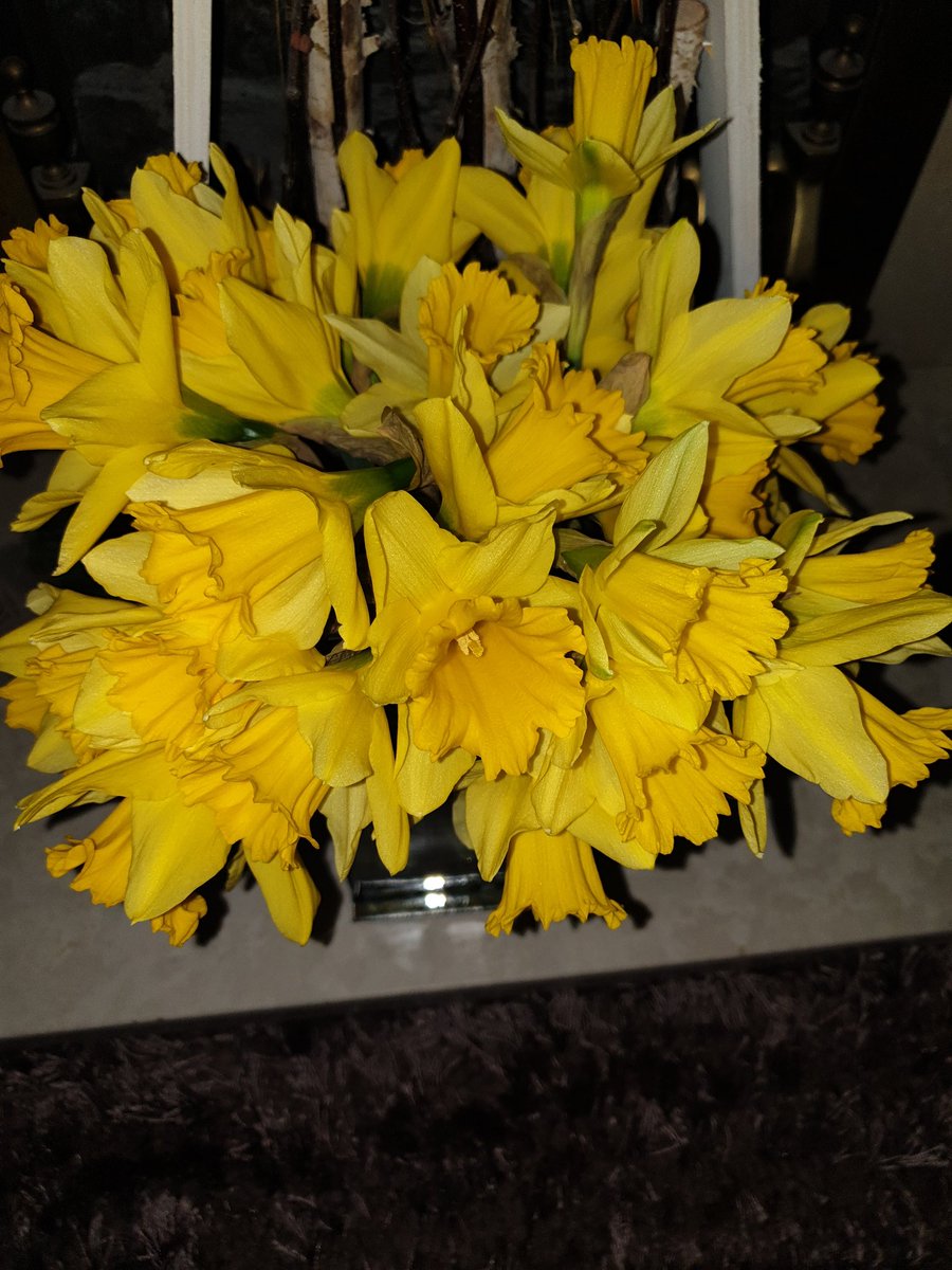BeesleyLisa's tweet photo. So happy! Spring has sprung!!! https://t.co/nbLuGU2Fjp