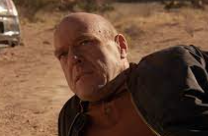 Lesley McGlynn tweet media