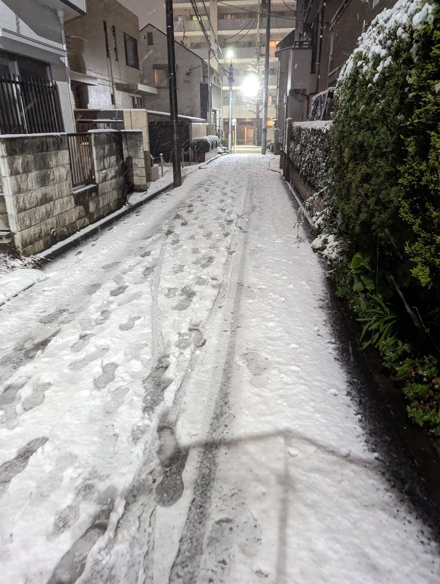 CroasterSelect's tweet image. 東京も雪がやばいです🥶🥶