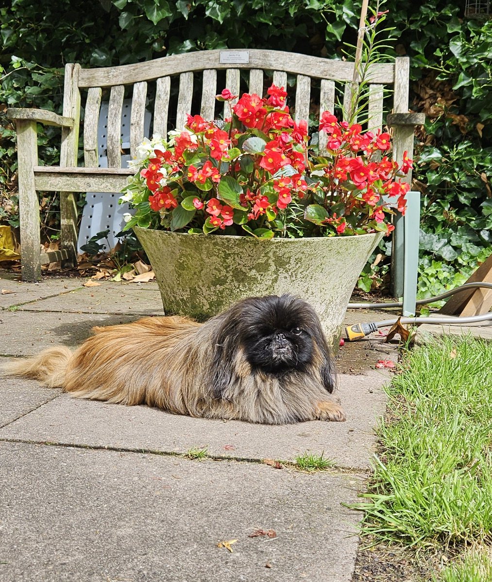 Helena Northcote tweet media