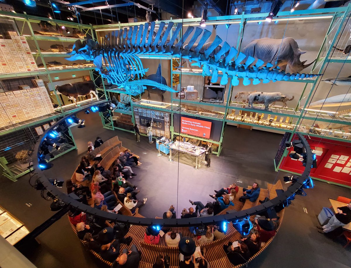 We did the Moving Animals Festival at @Naturalis_Sci on Friday and it was ✨magic ✨A thread with our performances: (1/7)
#animalhistory #envhum #envhist
@monica_vasile <a href="/vincentbijman/">Vincent Bijman</a> @rafdebont1 @LabAniTrans and Vanessa Bateman
<a href="/FasosMaastricht/">FASoS Maastricht</a>