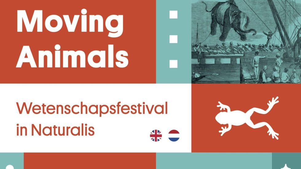 Moving Animals tweet media