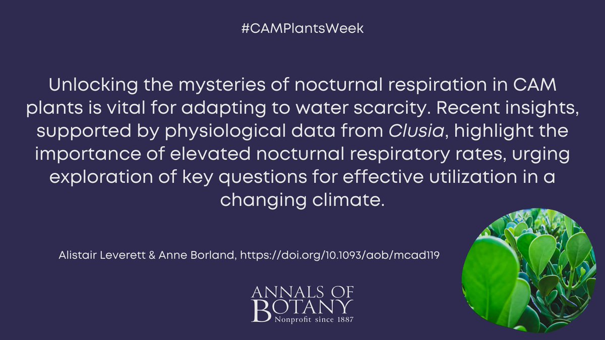 Annals of Botany (@annbot) on Twitter photo 🌵 #CAMPlantsWeek
Elevated nocturnal respiratory rates in the mitochondria of CAM plants: current knowledge and unanswered questions by Alistair Leverett and Anne Borland in <a href="/annbot/">Annals of Botany</a>
#openaccess article
👉botany.fyi/jSfqIr
#PlantScience #Botany 🌵 #CAMPlantsWeek
Elevated nocturnal respiratory rates in the mitochondria of CAM plants: current knowledge and unanswered questions by Alistair Leverett and Anne Borland in <a href="/annbot/">Annals of Botany</a>
#openaccess article
👉botany.fyi/jSfqIr
#PlantScience #Botany