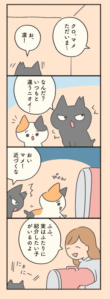 #もしも猫外伝    「菊次郎とふみ」2章その9       1日1ページ更新。