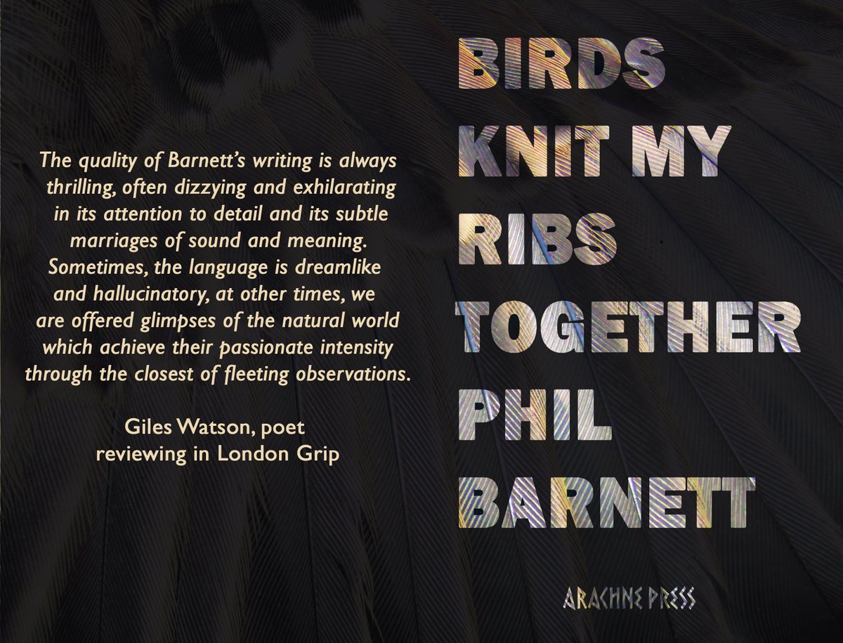 This week thurs8Feb7pm online #booklaunch for #BirdsKnitMyRibsTogether by @squinancywort1 a wildly imaginative #poetry debut that melds #birds into #recovery from illness. tix arachnepress.com/2023/12/18/get… first review by #GilesWatson on @LondonGrip londongrip.co.uk/2023/12/london…