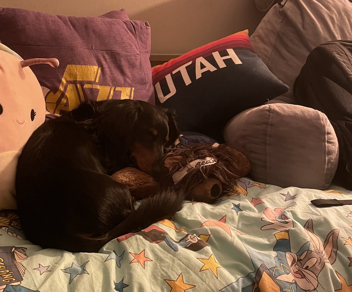 Stockton having a snooze on jazz bear watching the game last night