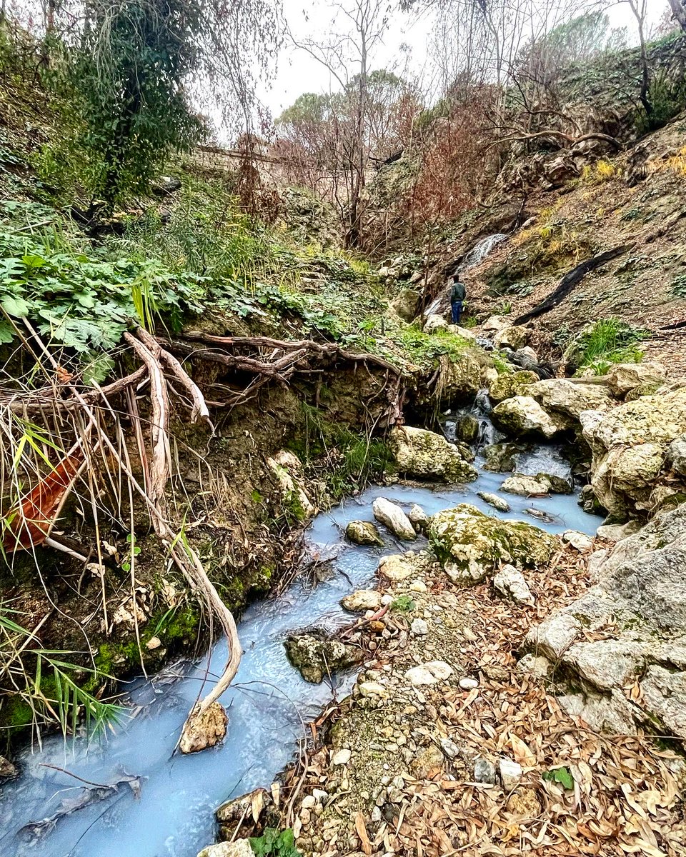 VisitSicilyOP's tweet photo. Like an open-air museum, the Parco Minerario Floristella Grottacalda joined the two disused sulphur mines of the same name. An example of the industrial archaeology settlements of southern Italy.
📷 Francesco Giocolano
#visitsicilyinfo #valguarnera #enna https://t.co/ZZ56oAuZCj